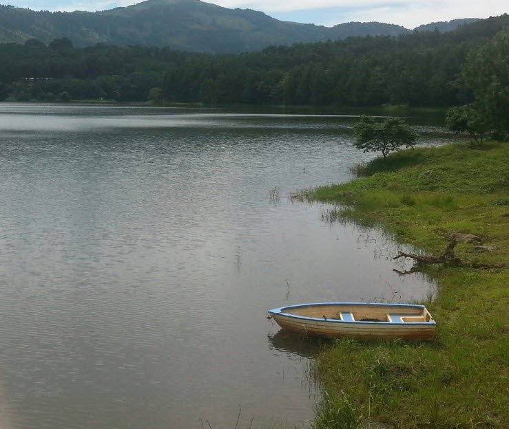 Zomba Plateau, Southern Region (Zomba District), Malawi